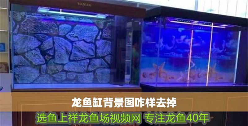 龍魚缸背景圖咋樣去掉