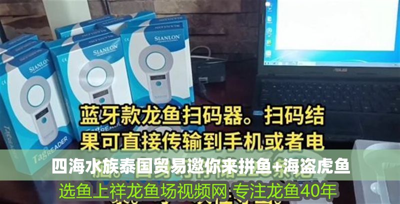 四海水族泰國貿易邀你來拼魚+海盜虎魚 四海水族泰國貿易邀你來拼魚+海盜虎魚 虎魚百科 第3張