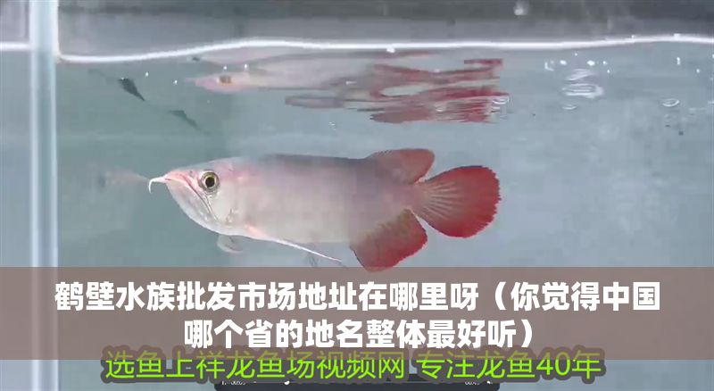 鶴壁水族批發(fā)市場(chǎng)地址在哪里呀（你覺得中國(guó)哪個(gè)省的地名整體最好聽）
