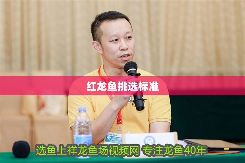 紅龍魚挑選標準