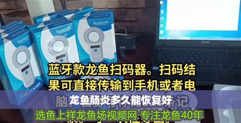 龍魚腸炎多久能恢復好