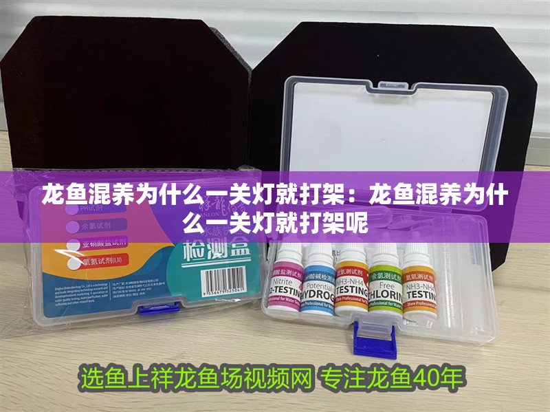龍魚混養為什么一關燈就打架：龍魚混養為什么一關燈就打架呢
