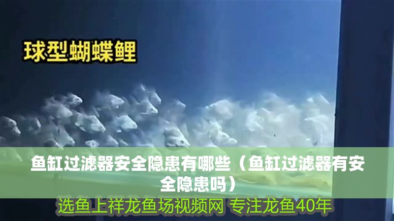 魚缸過濾器安全隱患有哪些（魚缸過濾器有安全隱患嗎）
