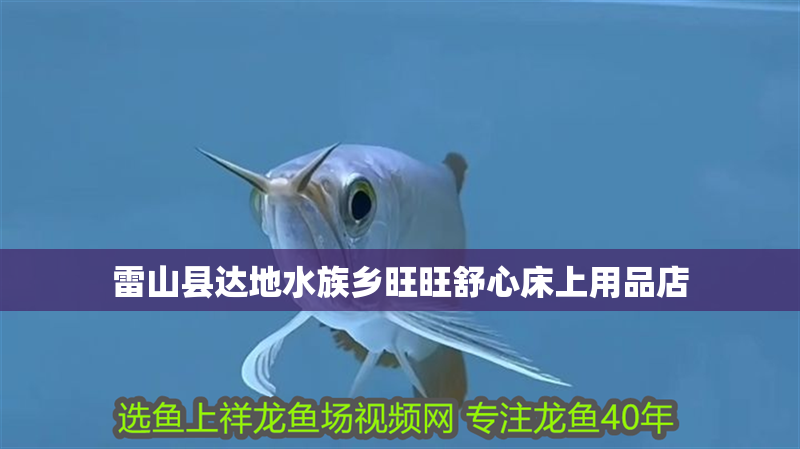 雷山縣達地水族鄉旺旺舒心床上用品店