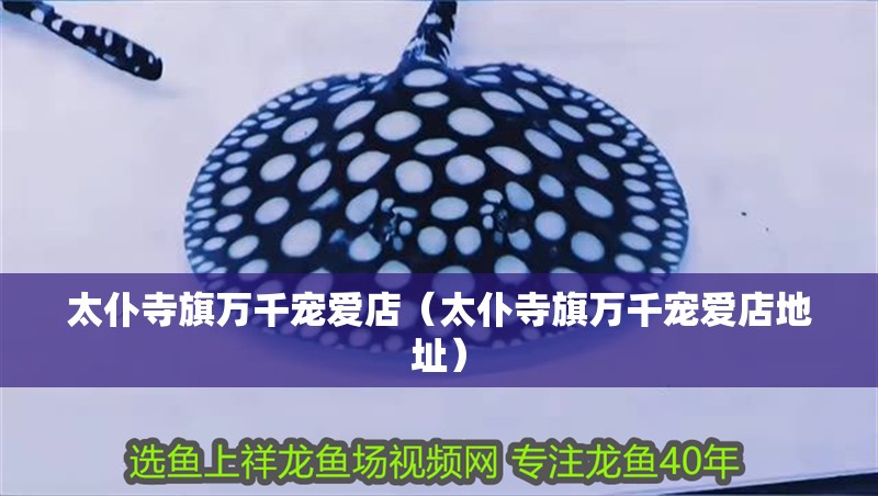 太仆寺旗萬千寵愛店（太仆寺旗萬千寵愛店地址）
