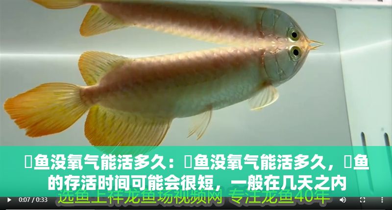 魟魚沒氧氣能活多久：魟魚沒氧氣能活多久，魟魚的存活時間可能會很短，一般在幾天之內
