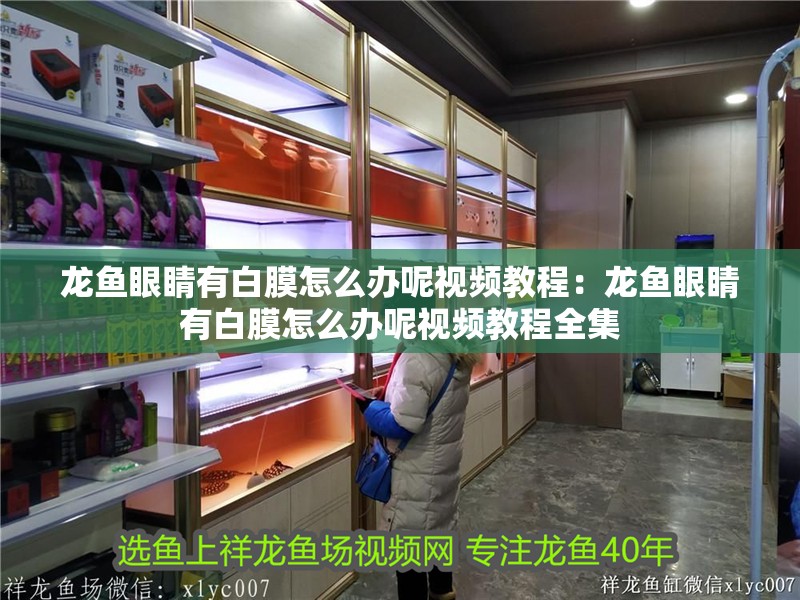 龍魚眼睛有白膜怎么辦呢視頻教程：龍魚眼睛有白膜怎么辦呢視頻教程全集