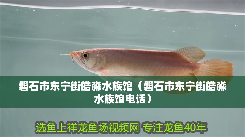 磐石市東寧街皓淼水族館（磐石市東寧街皓淼水族館電話） 磐石市東寧街皓淼水族館（磐石市東寧街皓淼水族館電話） 全國水族館企業名錄 第1張