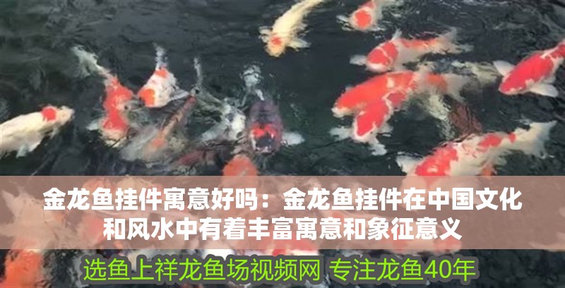 金龍魚掛件寓意好嗎：金龍魚掛件在中國文化和風(fēng)水中有著豐富寓意和象征意義