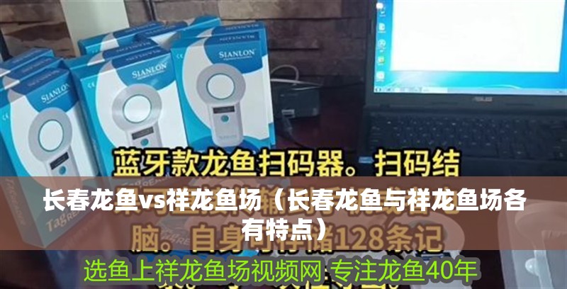 長春龍魚vs祥龍魚場（長春龍魚與祥龍魚場各有特點）
