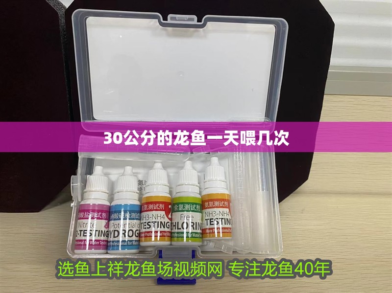 30公分的龍魚(yú)一天喂幾次