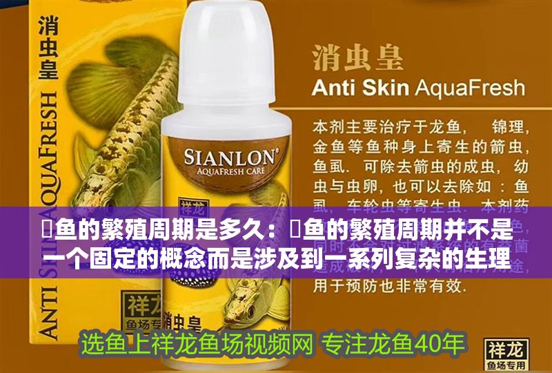 魟魚的繁殖周期是多久：魟魚的繁殖周期并不是一個固定的概念而是涉及到一系列復(fù)雜的生理和行為過程