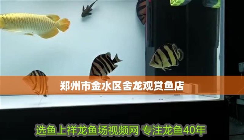 鄭州市金水區舍龍觀賞魚店