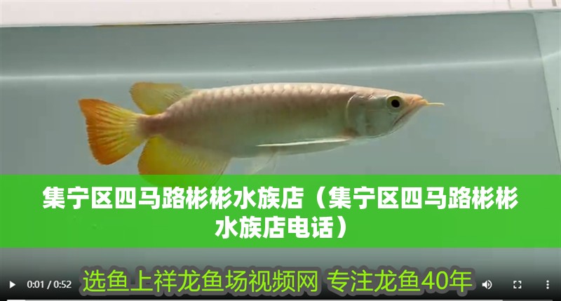 集寧區四馬路彬彬水族店（集寧區四馬路彬彬水族店電話）