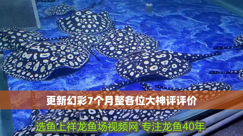 更新幻彩7個月整各位大神評評價