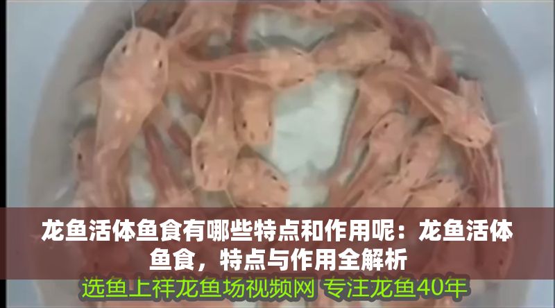 龍魚活體魚食有哪些特點和作用呢：龍魚活體魚食，特點與作用全解析