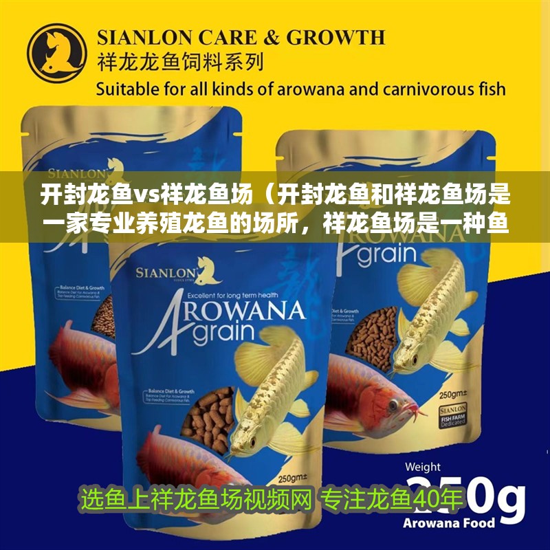 開封龍魚vs祥龍魚場（開封龍魚和祥龍魚場是一家專業(yè)養(yǎng)殖龍魚的場所，祥龍魚場是一種魚類）
