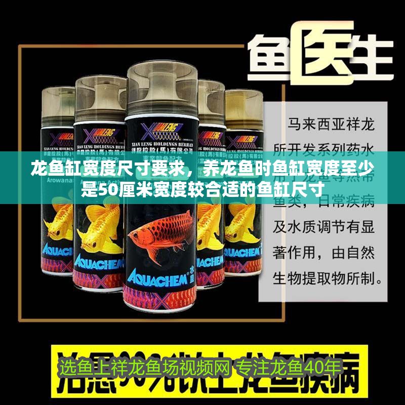 龍魚缸寬度尺寸要求，養(yǎng)龍魚時魚缸寬度至少是50厘米寬度較合適的魚缸尺寸