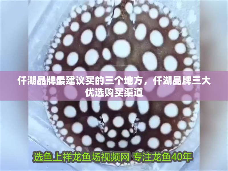 仟湖品牌最建議買的三個地方，仟湖品牌三大優(yōu)選購買渠道