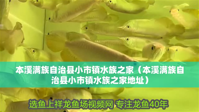 本溪滿族自治縣小市鎮(zhèn)水族之家（本溪滿族自治縣小市鎮(zhèn)水族之家地址）