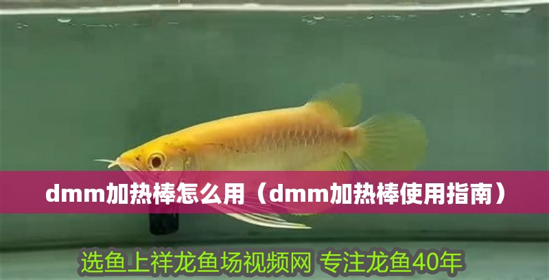 dmm加熱棒怎么用（dmm加熱棒使用指南）