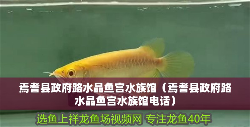 焉耆縣政府路水晶魚(yú)宮水族館（焉耆縣政府路水晶魚(yú)宮水族館電話(huà)）