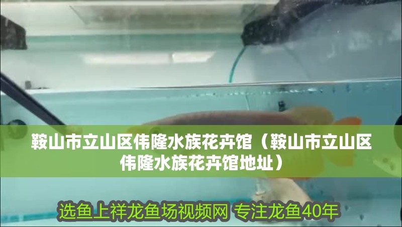 鞍山市立山區偉隆水族花卉館（鞍山市立山區偉隆水族花卉館地址）