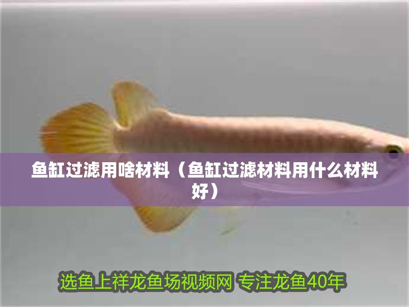 魚缸過濾用啥材料（魚缸過濾材料用什么材料好）