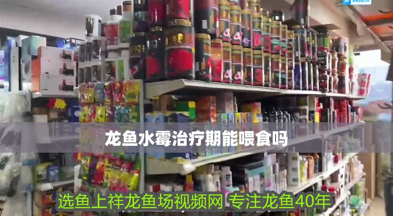 龍魚水霉治療期能喂食嗎