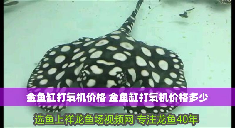 金魚缸打氧機價格 金魚缸打氧機價格多少