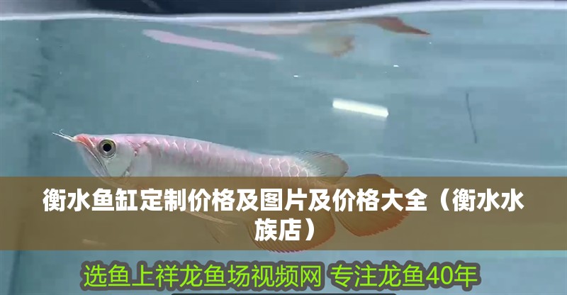 衡水魚缸定制價格及圖片及價格大全（衡水水族店）