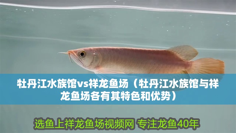 牡丹江水族館vs祥龍魚(yú)場(chǎng)（牡丹江水族館與祥龍魚(yú)場(chǎng)各有其特色和優(yōu)勢(shì)）