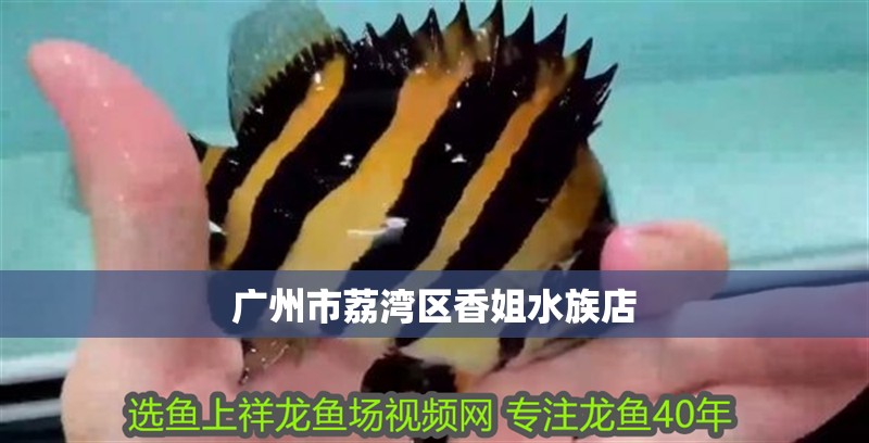 廣州市荔灣區香姐水族店