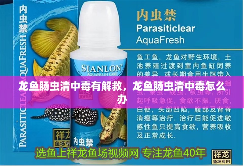 龍魚腸蟲清中毒有解救，龍魚腸蟲清中毒怎么辦