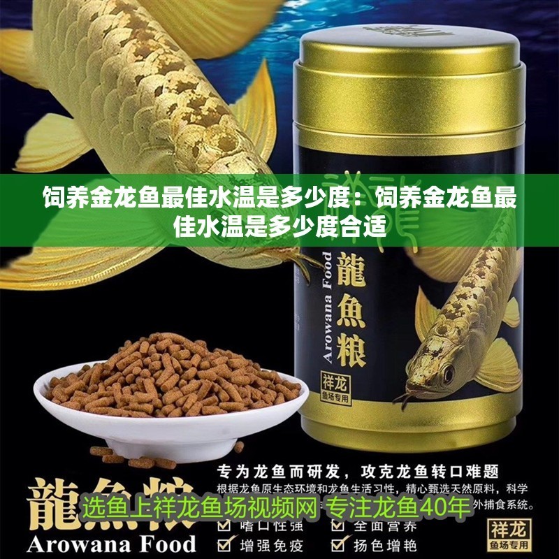 飼養(yǎng)金龍魚最佳水溫是多少度：飼養(yǎng)金龍魚最佳水溫是多少度合適