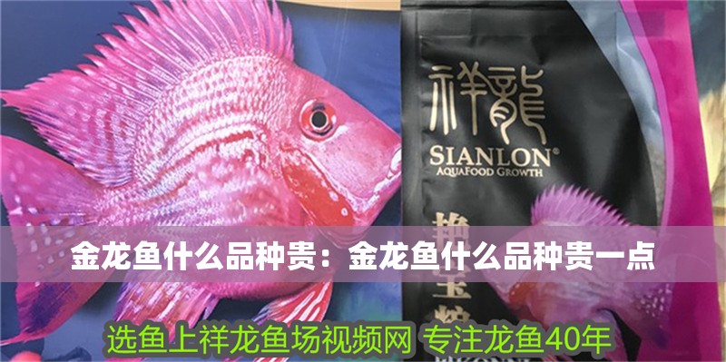 金龍魚什么品種貴：金龍魚什么品種貴一點