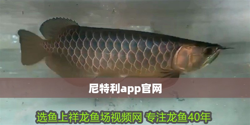 尼特利app官網(wǎng)