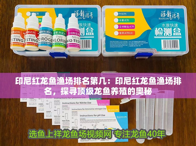 印尼紅龍魚漁場排名第幾：印尼紅龍魚漁場排名，探尋頂級龍魚養殖的奧秘