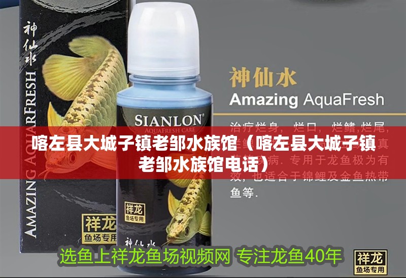 喀左縣大城子鎮(zhèn)老鄒水族館（喀左縣大城子鎮(zhèn)老鄒水族館電話）