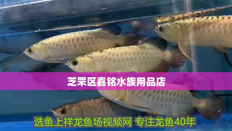 芝罘區嘉銘水族用品店