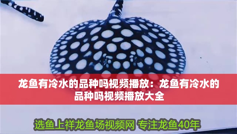 龍魚有冷水的品種嗎視頻播放：龍魚有冷水的品種嗎視頻播放大全