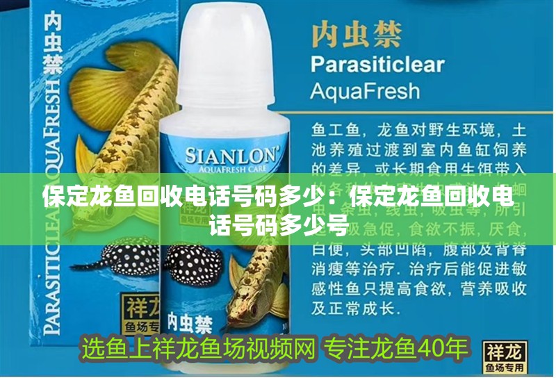 保定龍魚回收電話號碼多少：保定龍魚回收電話號碼多少號