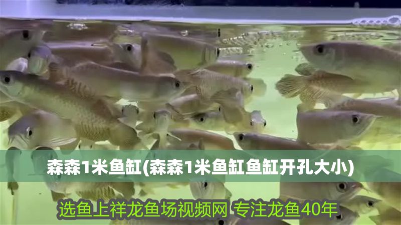 森森1米魚缸(森森1米魚缸魚缸開孔大小)