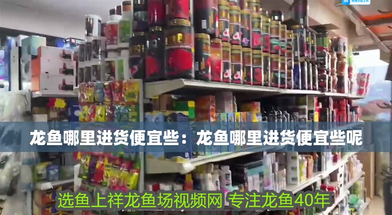龍魚哪里進貨便宜些：龍魚哪里進貨便宜些呢