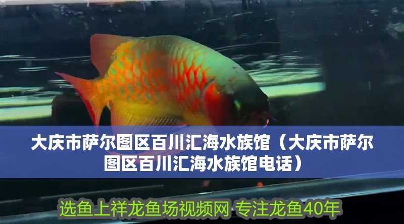 大慶市薩爾圖區(qū)百川匯海水族館（大慶市薩爾圖區(qū)百川匯海水族館電話）