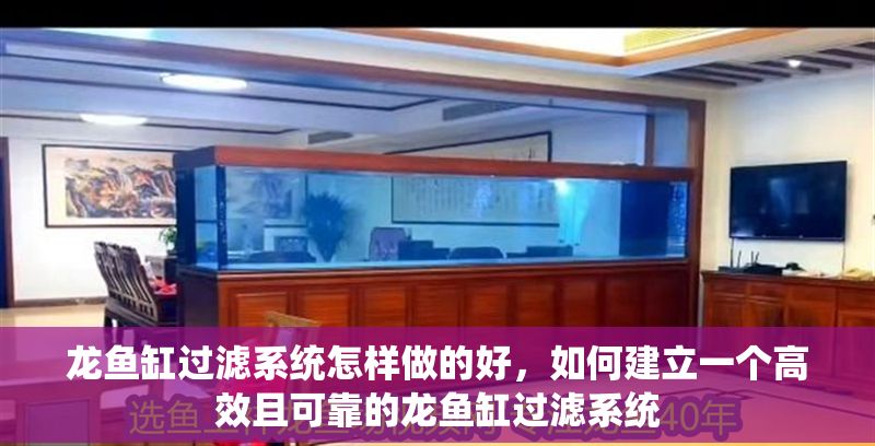 龍魚缸過濾系統怎樣做的好，如何建立一個高效且可靠的龍魚缸過濾系統