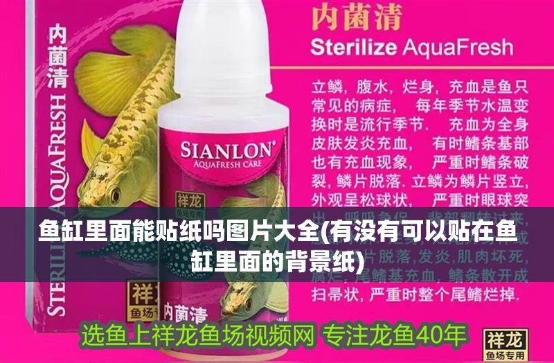 魚缸里面能貼紙嗎圖片大全(有沒有可以貼在魚缸里面的背景紙)