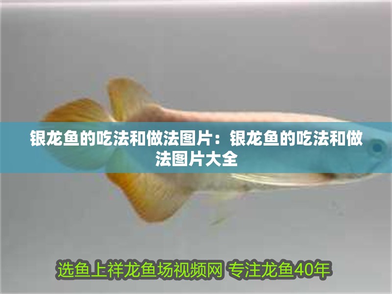 銀龍魚的吃法和做法圖片：銀龍魚的吃法和做法圖片大全