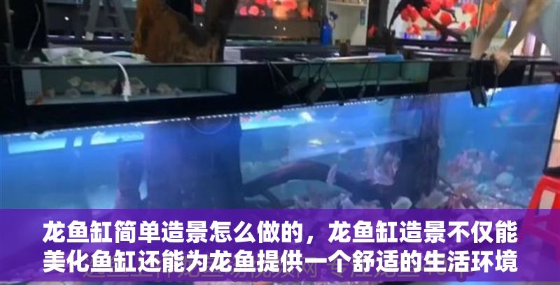 龍魚缸簡單造景怎么做的，龍魚缸造景不僅能美化魚缸還能為龍魚提供一個舒適的生活環(huán)境