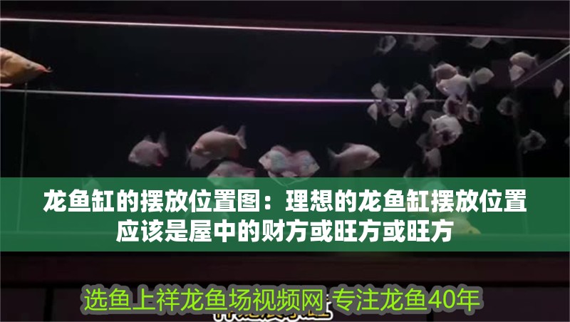 龍魚缸的擺放位置圖：理想的龍魚缸擺放位置應該是屋中的財方或旺方或旺方
